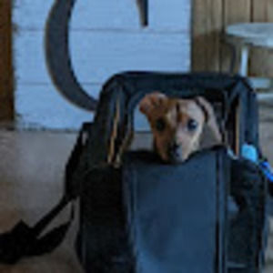 Meet your Posher, April